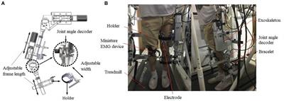 Processing Surface EMG Signals for Exoskeleton Motion Control